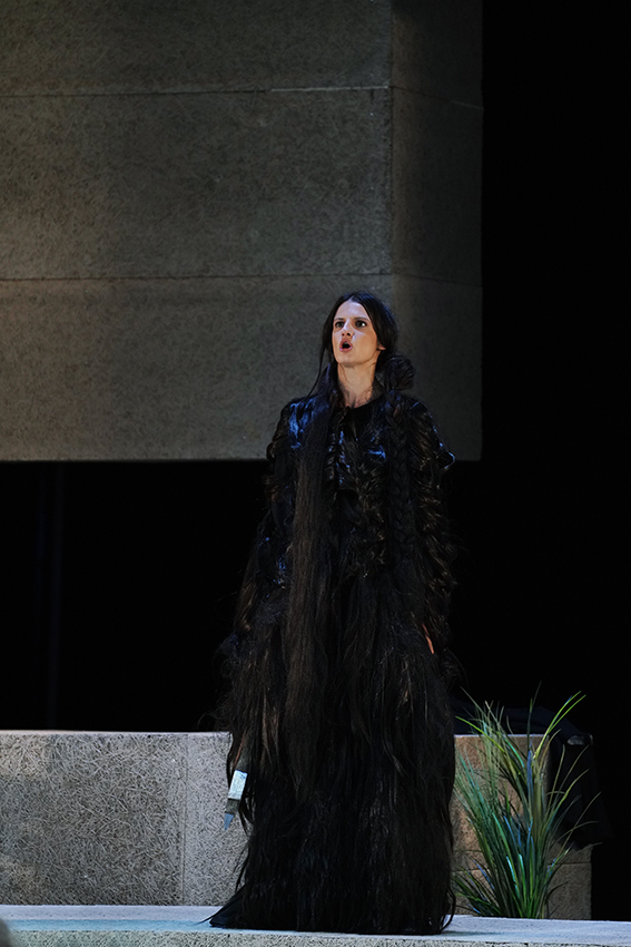 Muška suza foto Nebojša Babic (4)