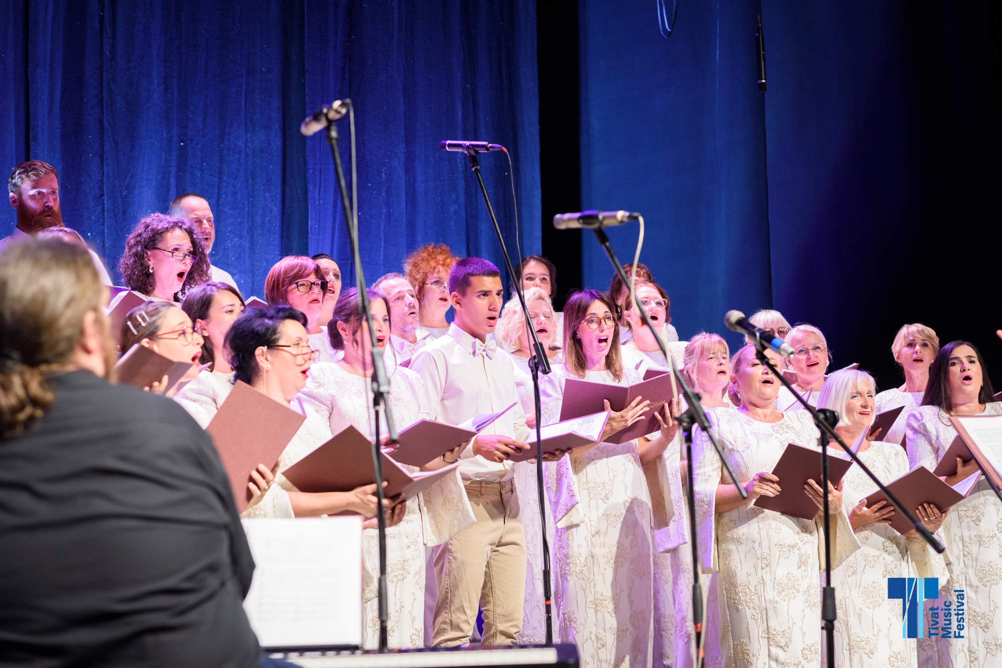 dalibor.sevaljevic@gmail.com